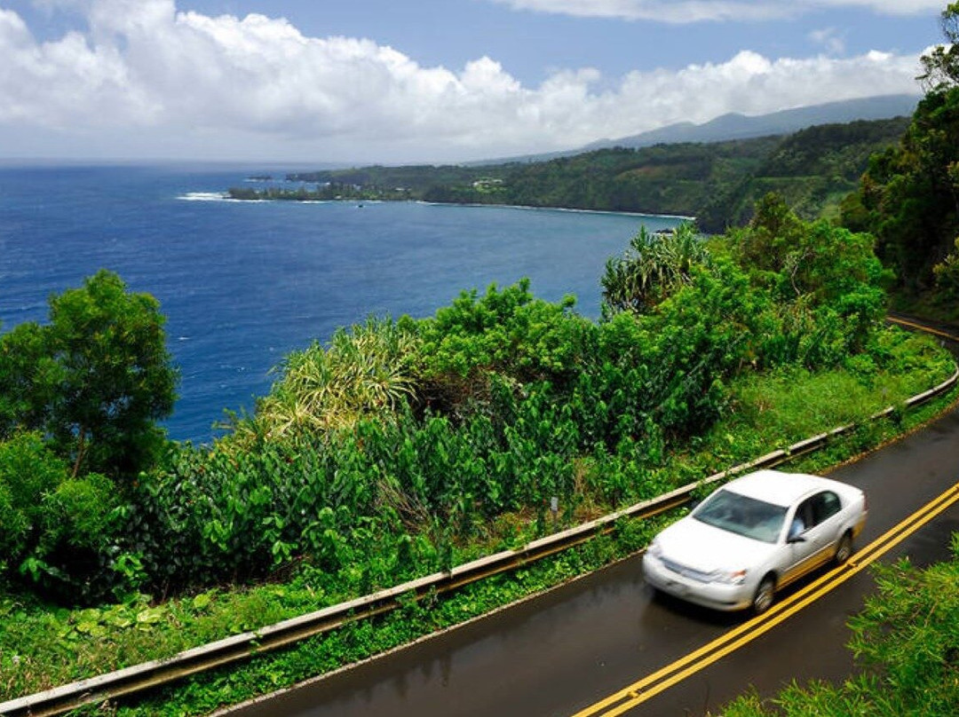 Aloha Maui Adventure Tours LLC-哈纳必去景点