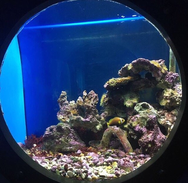 Sevastopol Aquarium