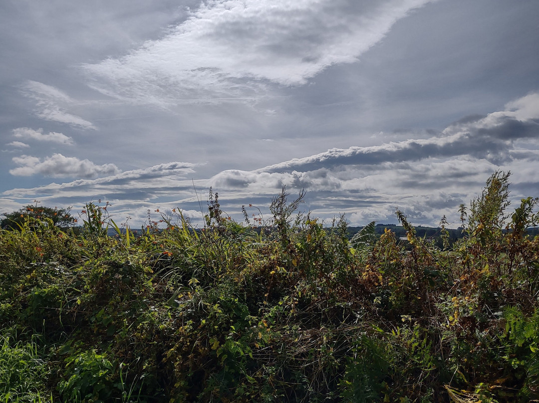 Barnagh Greenway Hub