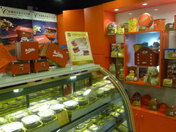 Gallery 1