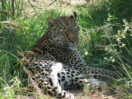 Irembo Africa Safaris Ltd-坎帕拉必去景点