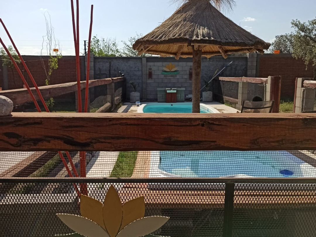 Nelumbo Petit Chalet主图