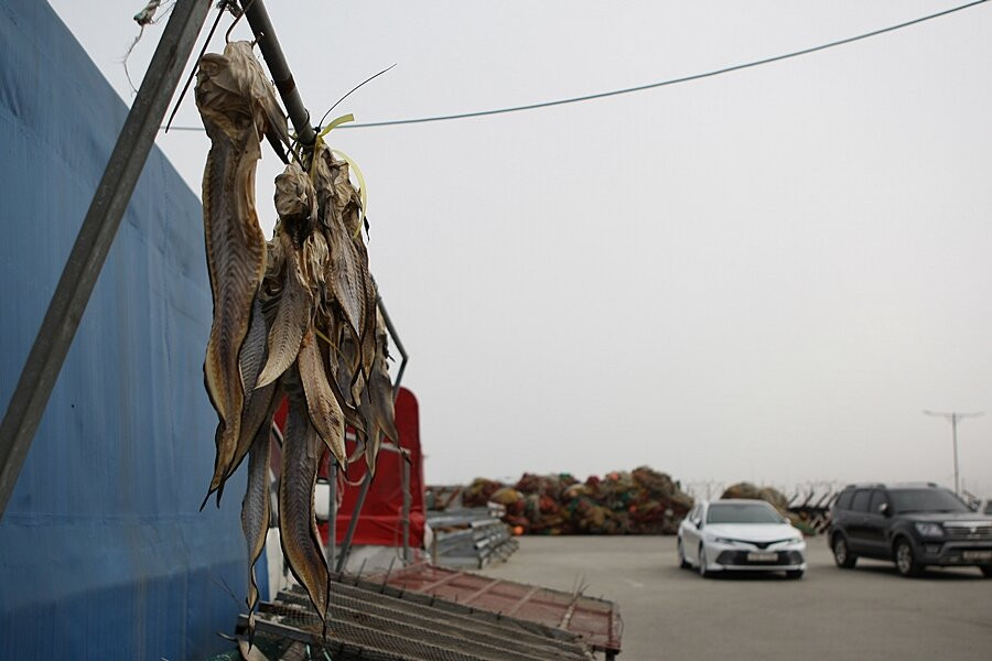 Hongwon Port-舒川郡必去景点