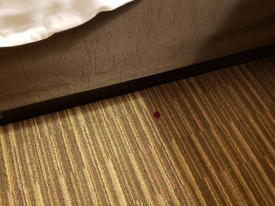 Quality Inn & Suites Albuquerque North Near Balloon Fiesta Park主图