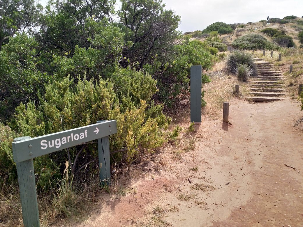 The Sugarloaf景点图片