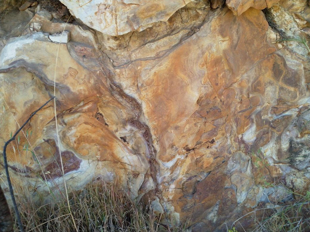 Riesling Trail-克莱尔必去景点