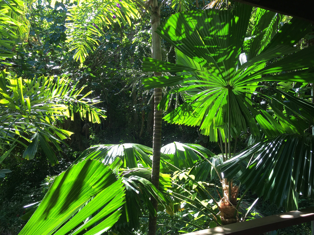 Ananda Rainforest Spa-可伦宾必去景点