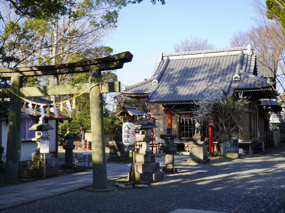 Yasaka Shrine景点图片