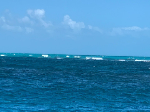 Fury Key West Snorkeling-基韦斯特必去景点