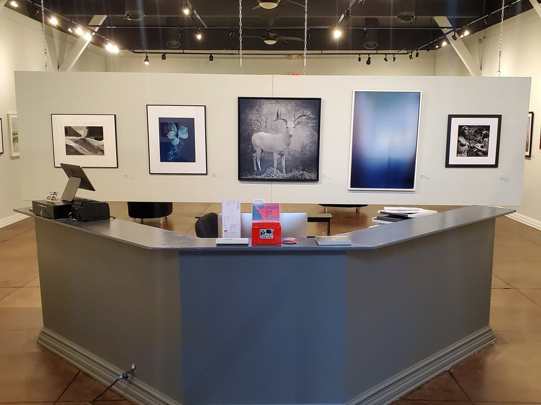 Yeiser Art Center-帕迪尤卡必去景点