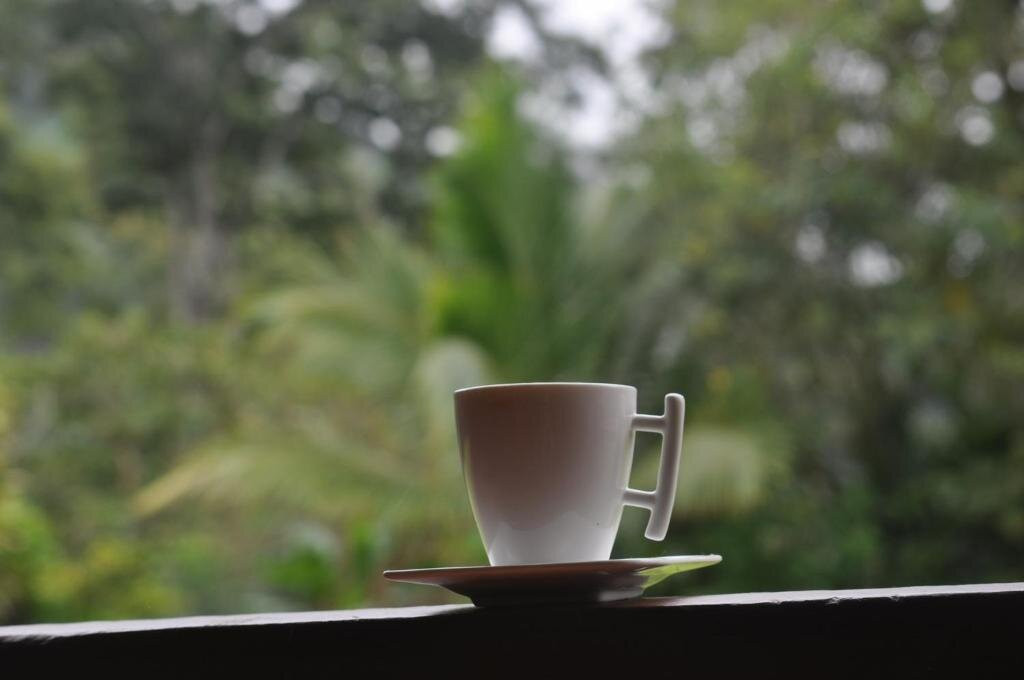 Hospedaje Amanecer主图