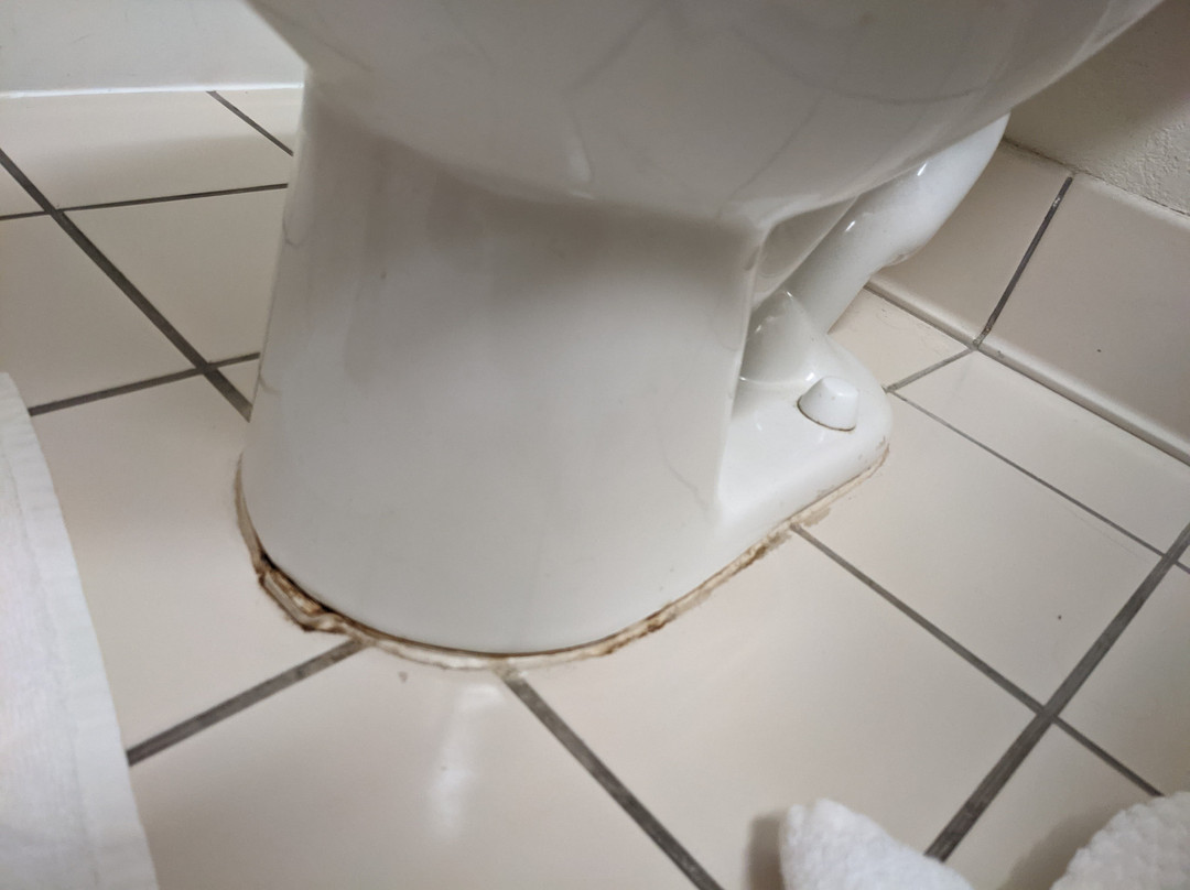 Quality Inn Hattiesburg主图