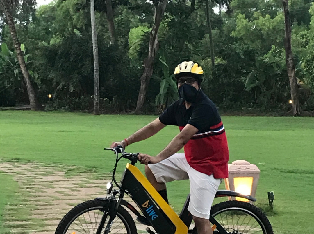 BLive Electric Bike Tours景点图片