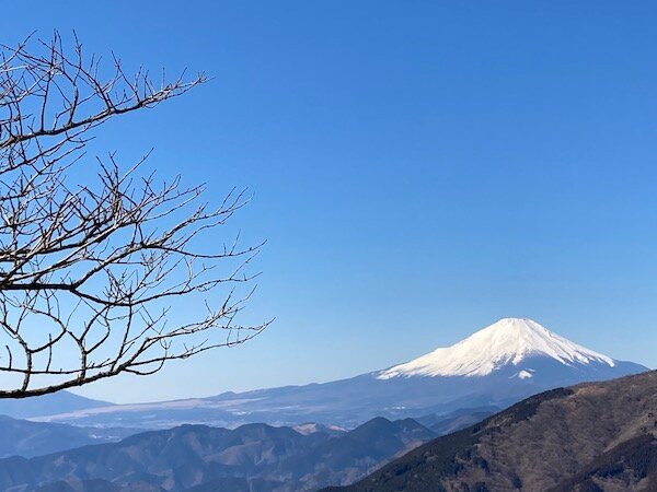 Fujimidai景点图片