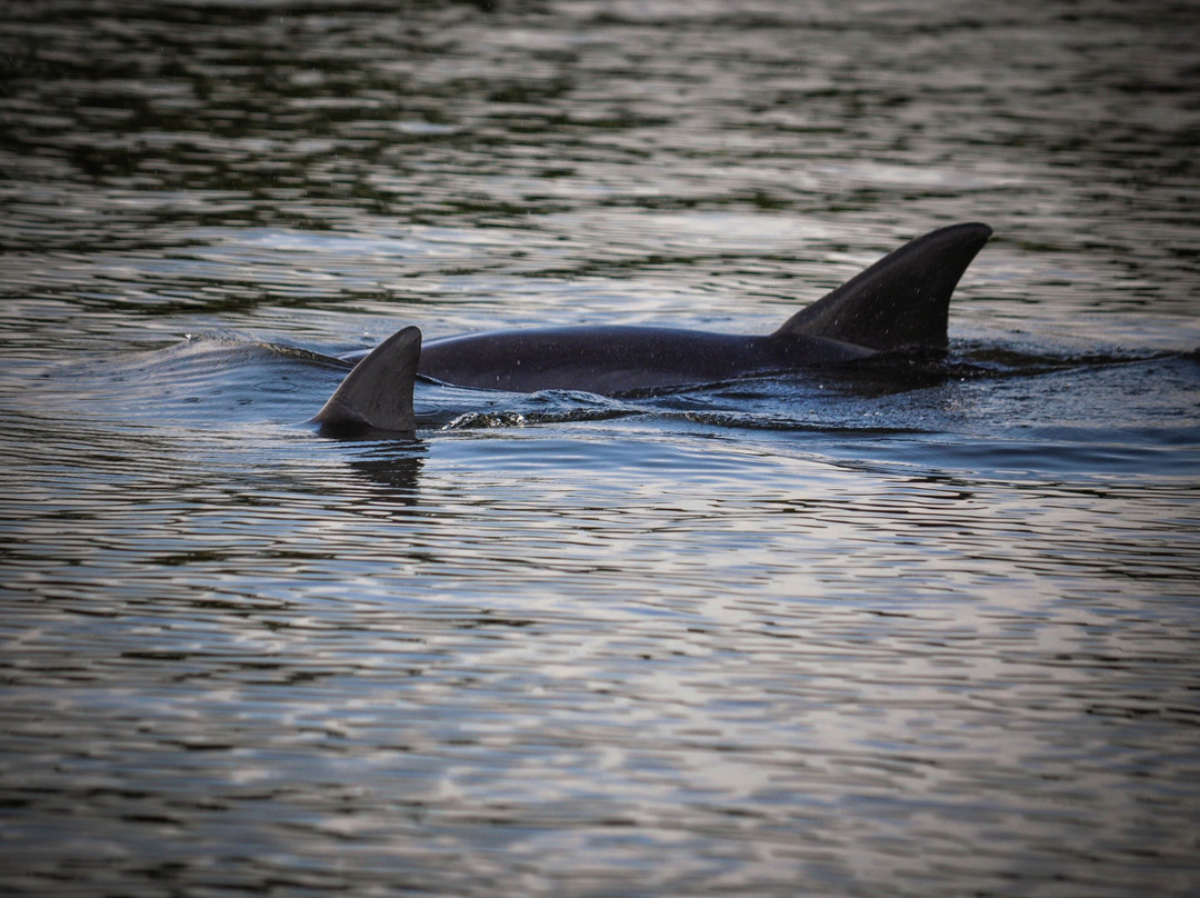 TourH2O Ocean Isle Beach-Ocean Isle Beach必去景点