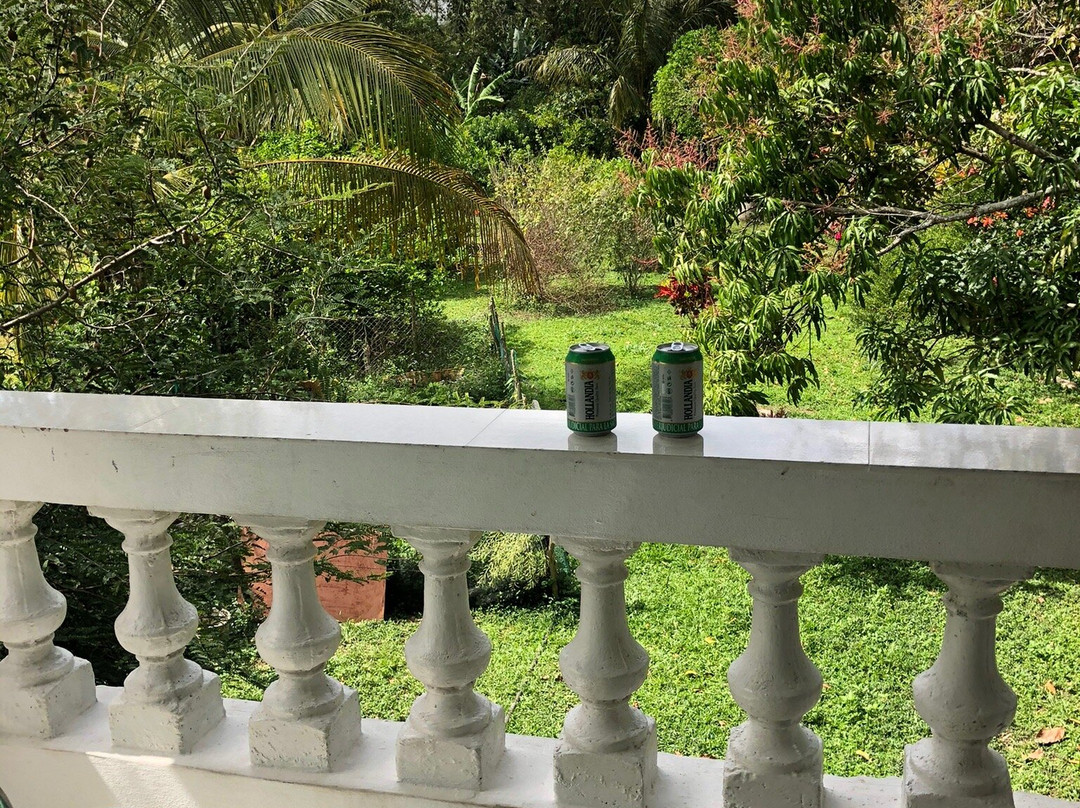 Casa Los Sauces Jorge y Ana Lidia主图