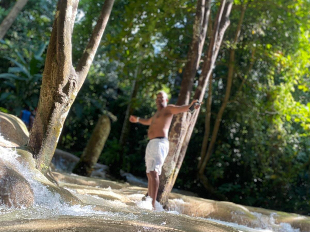 Grand Jamaica and Dunns River Falls Tour-法尔茅斯必去景点