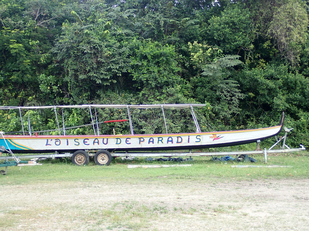 L'oiseau de Paradis主图