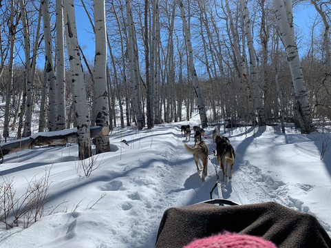 Mountain Musher-Bond必去景点