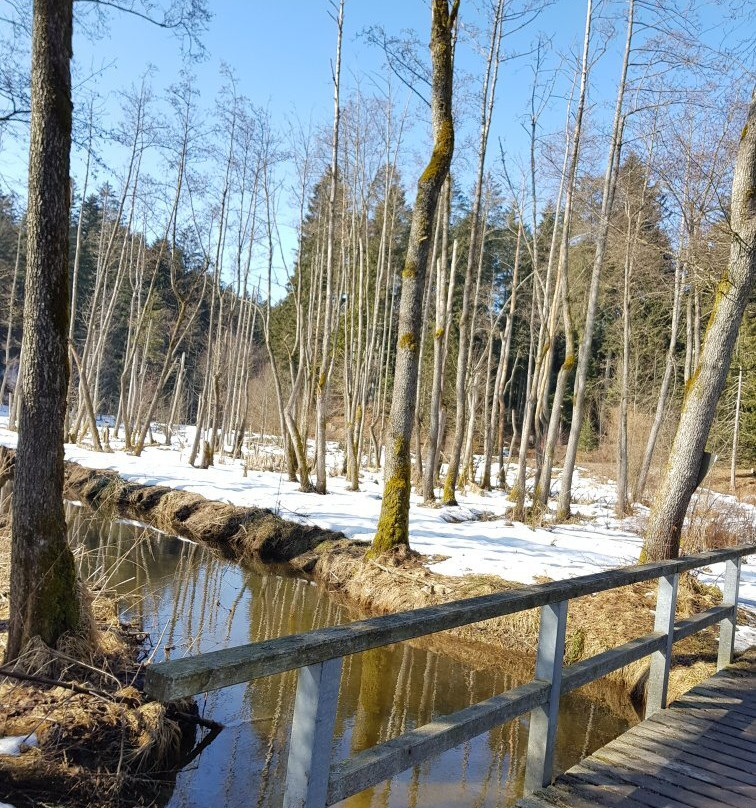 Freudensee-Hauzenberg必去景点