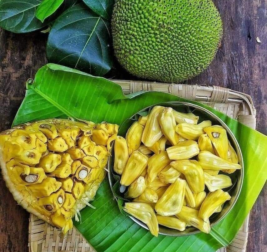 Jaffna Market-贾夫纳必去景点