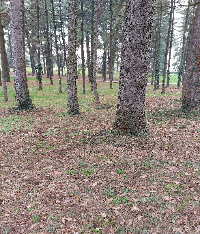 Bosco di Legnano (Parco Castello)景点图片
