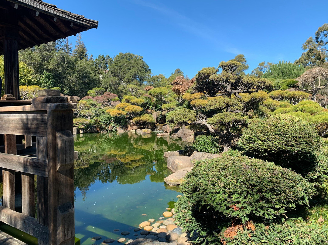 Hayward Japanese Gardens-海沃德必去景点