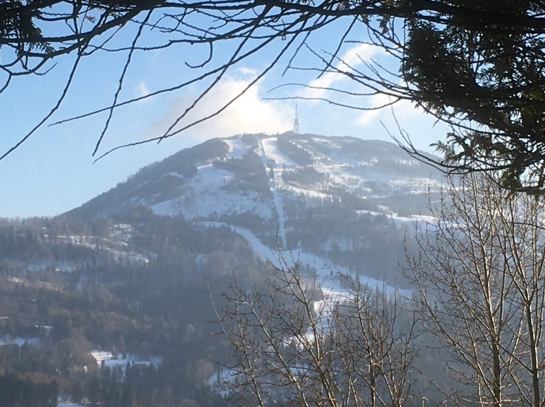 Park Krajobrazowy Beskidu Śląskiego/Beskid Śląski landscape park景点图片