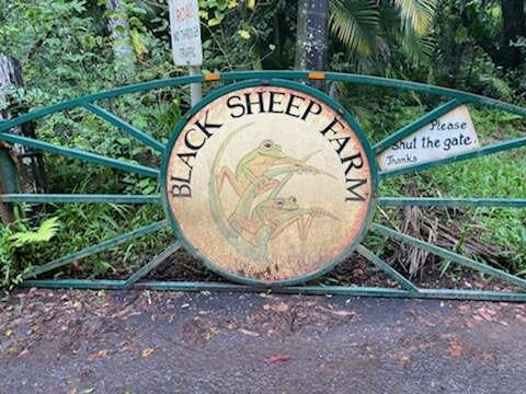 Black Sheep Farm主图