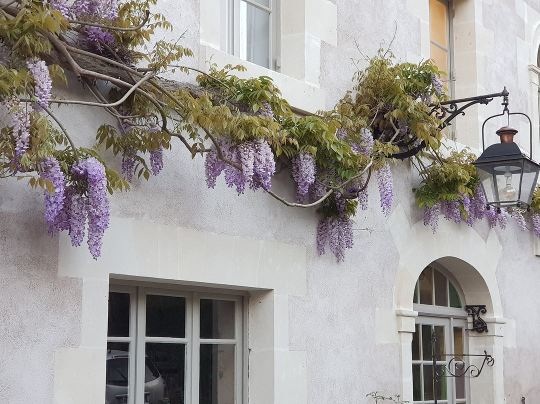 Le Moulin Hodoux主图