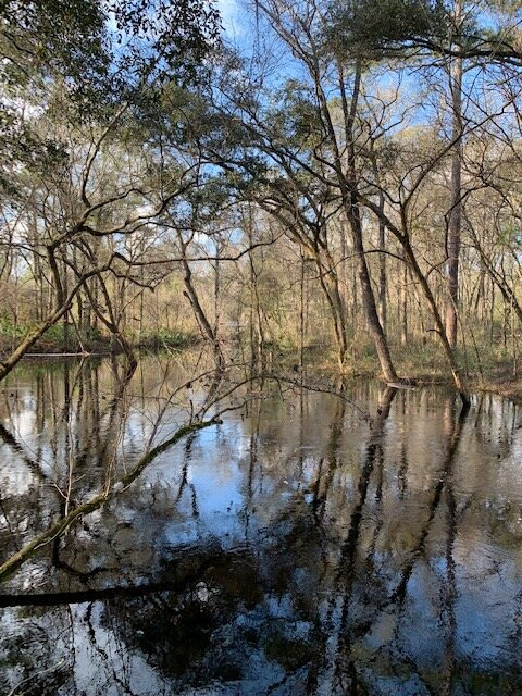 Falling Creek Falls景点图片