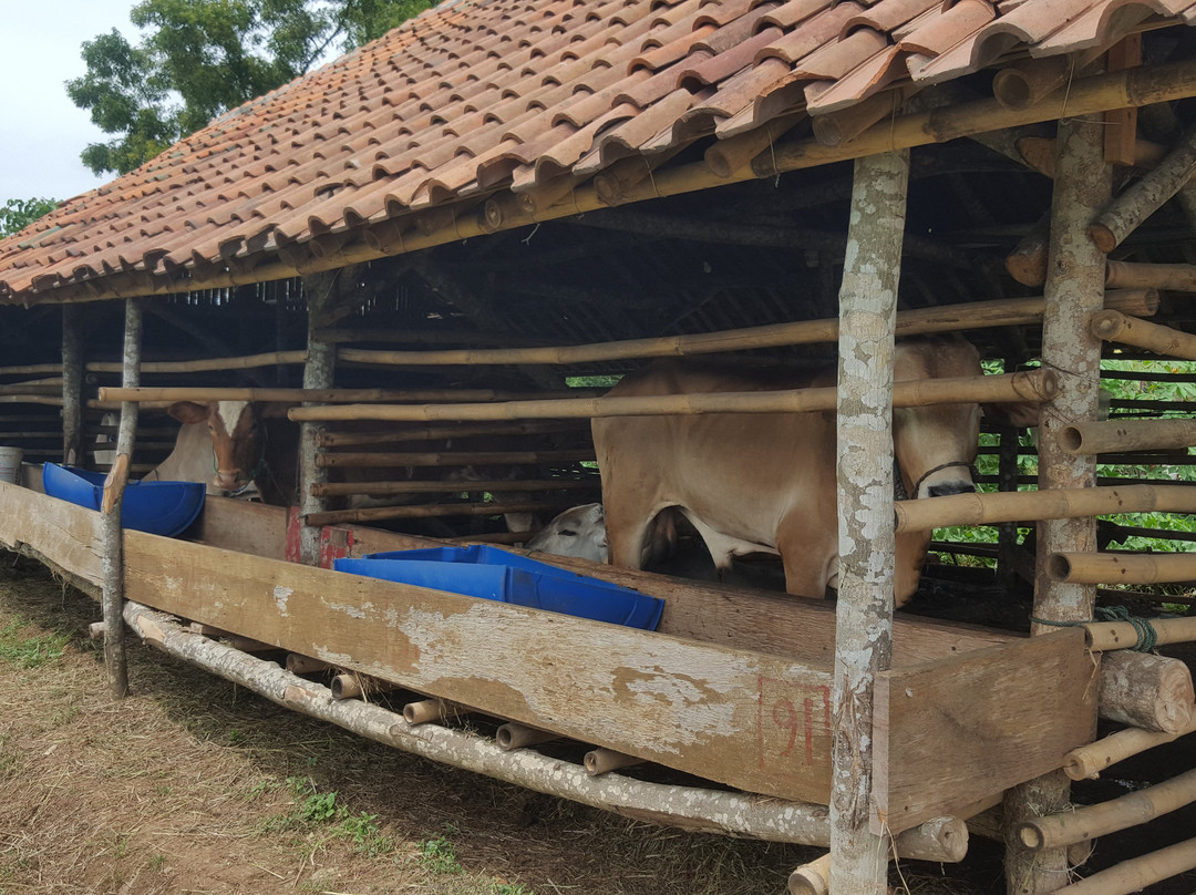 Delta SPA & Health Club Bekasi-勿加泗必去景点