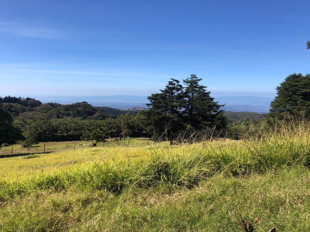 Martin Tours-蒙特沃德必去景点