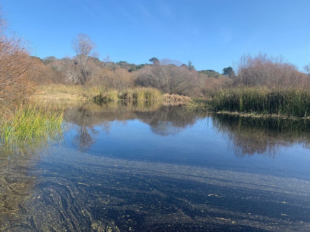 Frog Pond Wetland Preserve-锡赛德必去景点