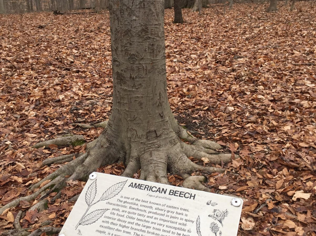 Highbanks Metro Park-Lewis Center必去景点