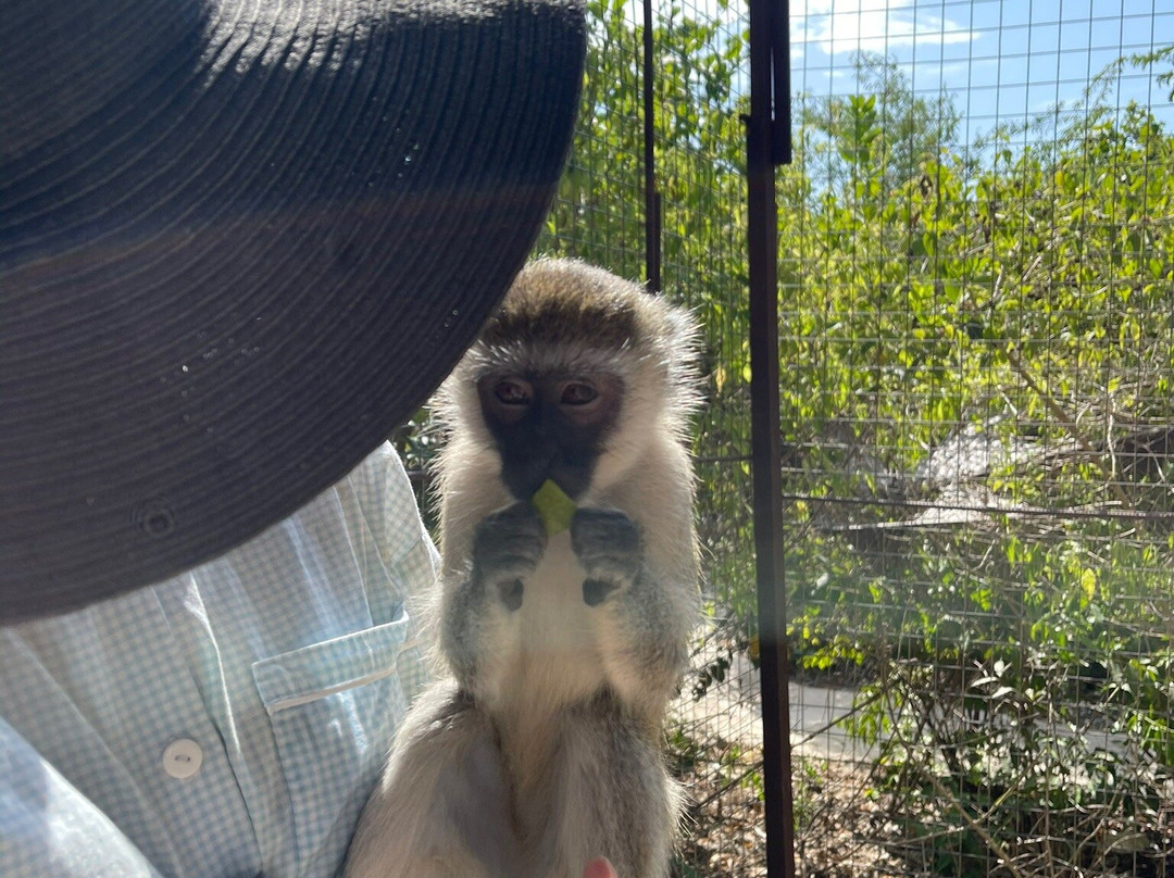 Zanzibar Kilosas Conservation-孥归必去景点