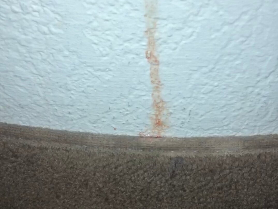 Sleep Inn Gallup主图