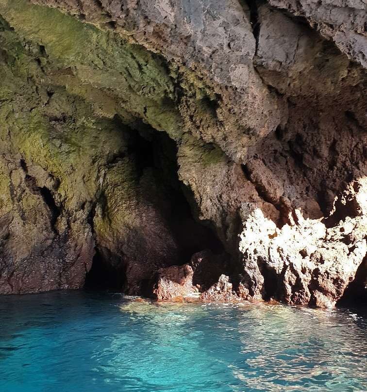 Madeira Sea Emotions Boat Tours景点图片