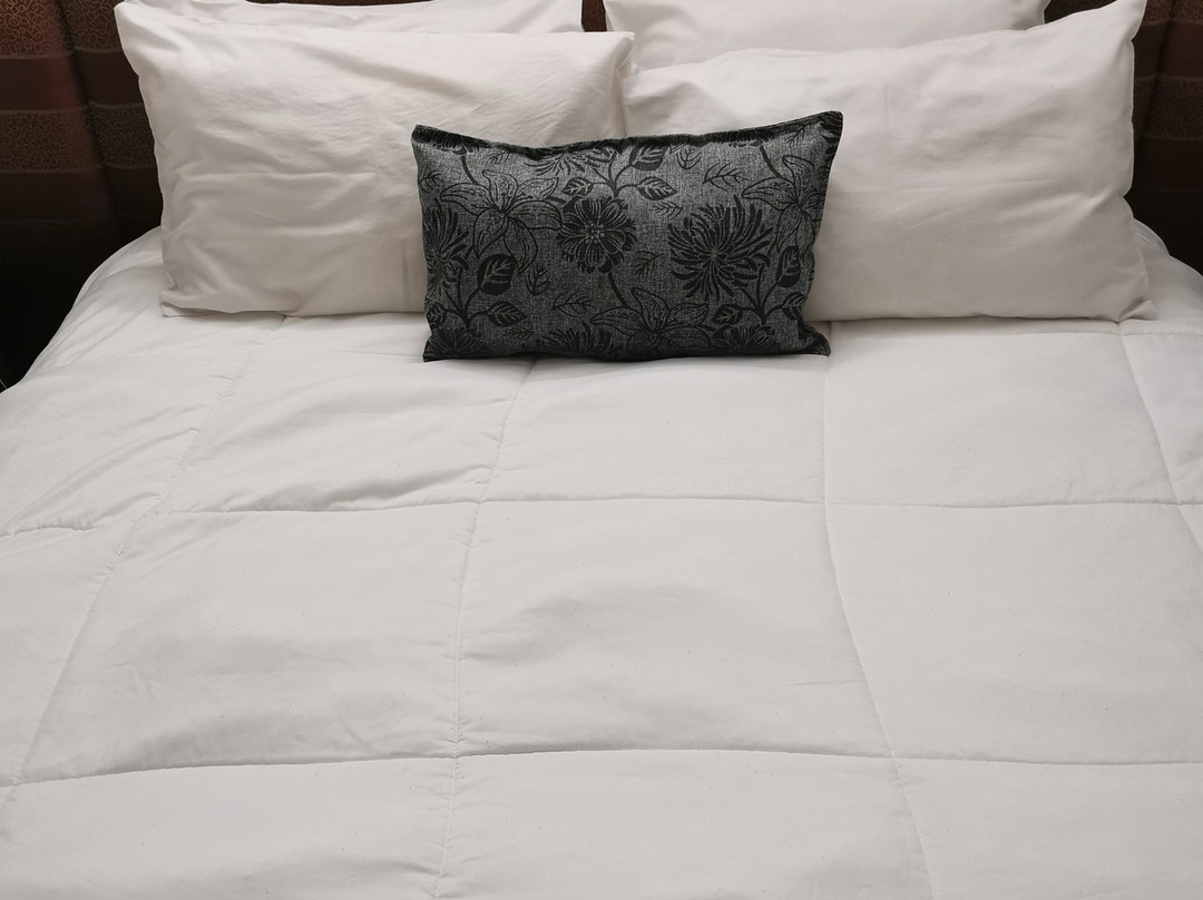 Hotel Sophia主图