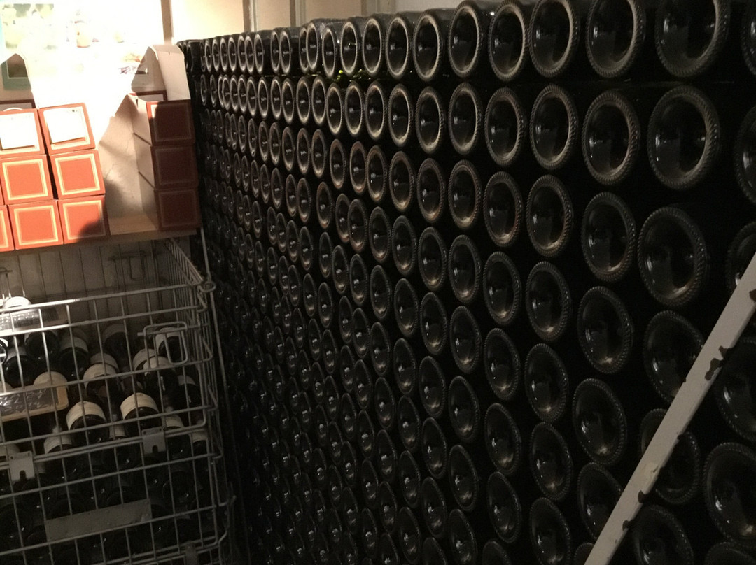 Domaine Rebourgeon Michel-Pommard必去景点