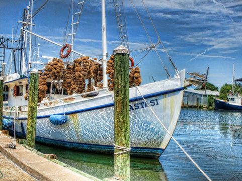 智选假日套房酒店-特里尼蒂主图