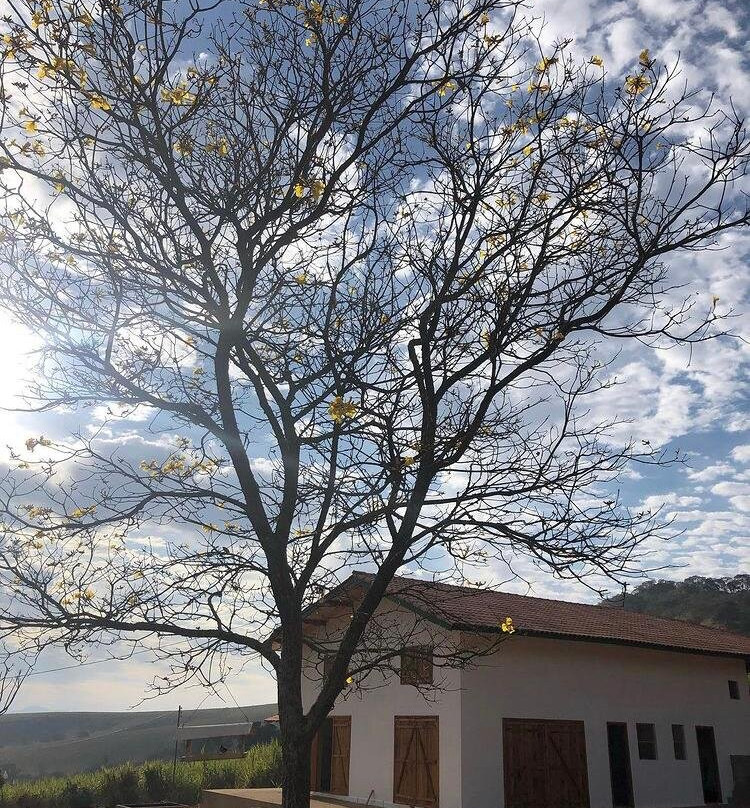 Cachaça Dona Diva-波苏阿雷格里必去景点