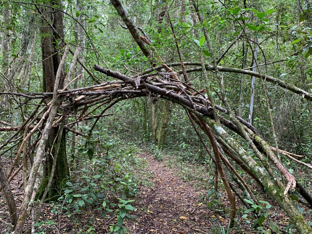 Terblans Nature Walk-克尼斯纳必去景点