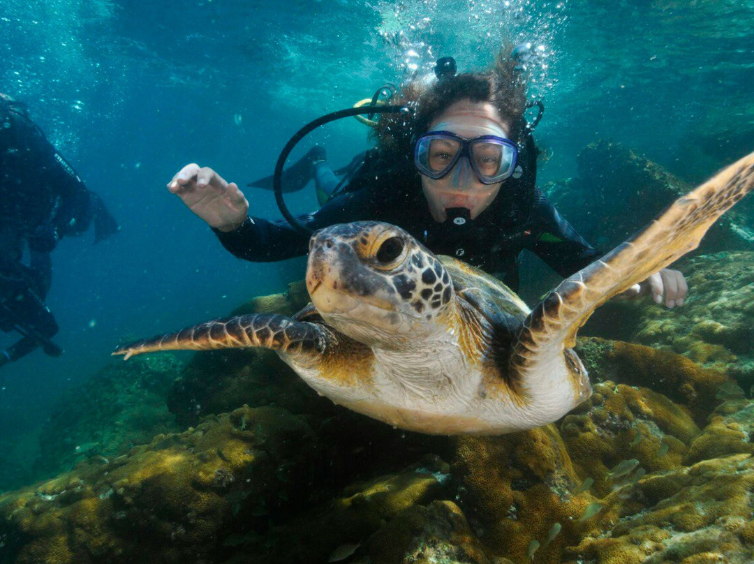 Master Dive Escola de Mergulho-阿拉伊阿尔港必去景点