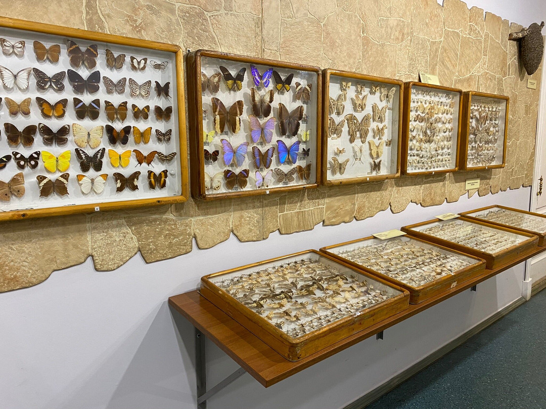 Nature Museum of The Kostroma Region景点图片