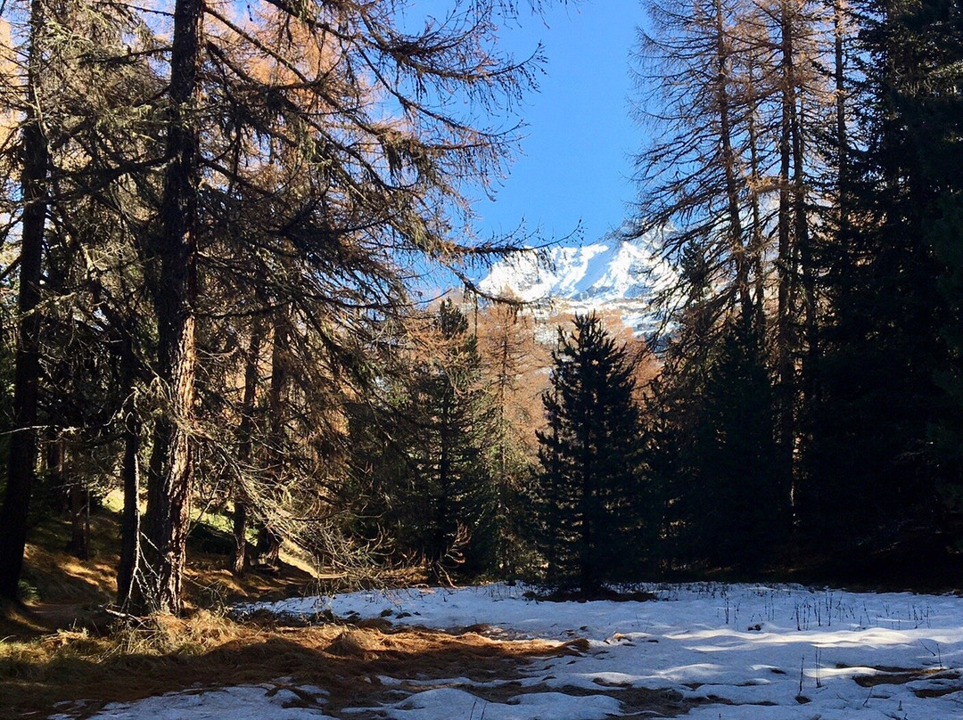 Lake Sils-Sils im Engadin必去景点