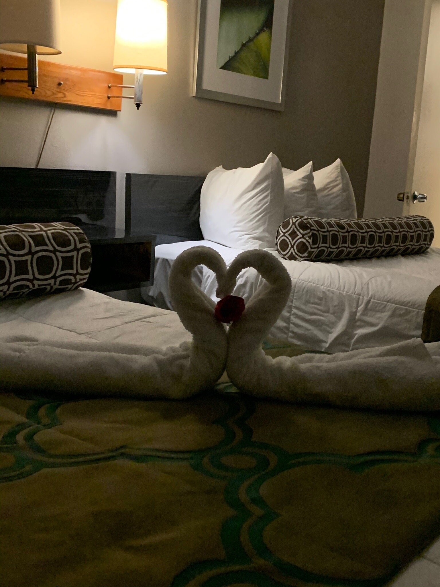 Twi-Lite Motel-官方