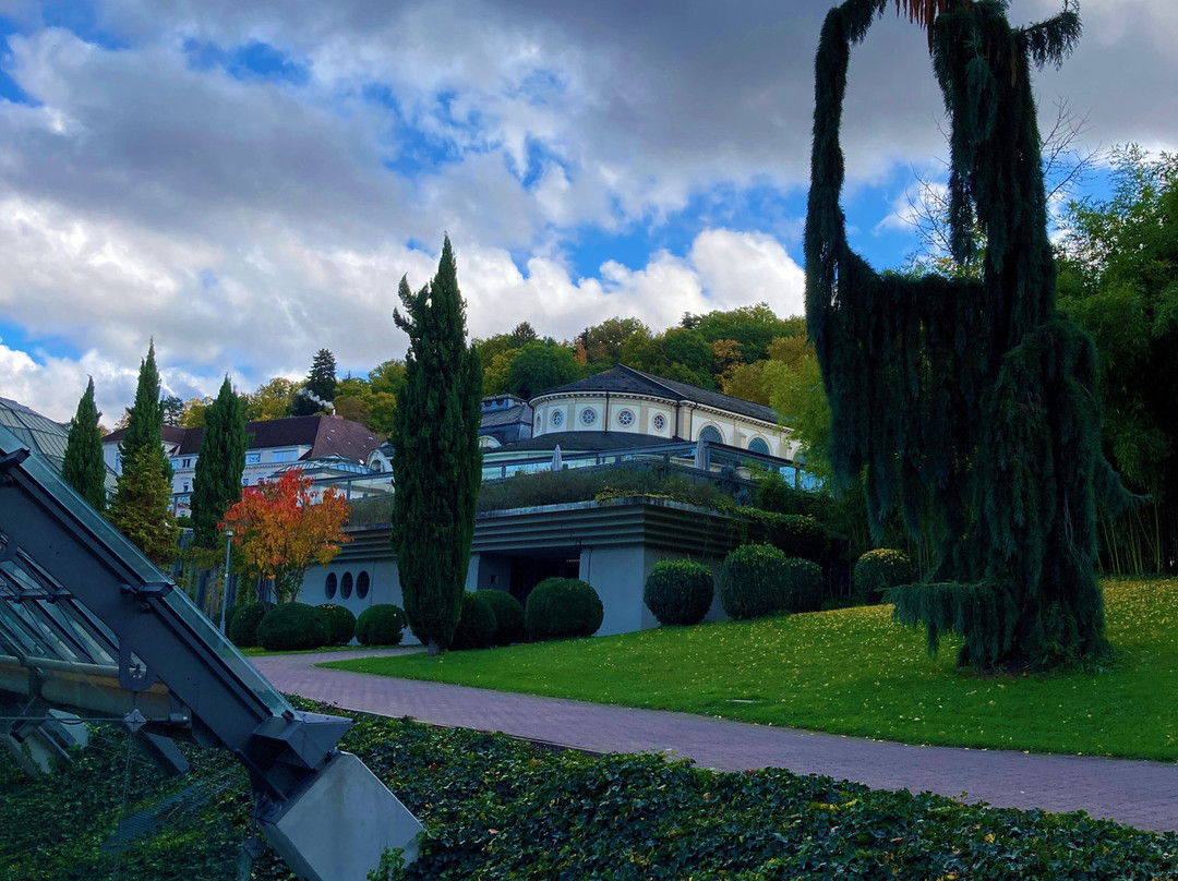 Kur- und Schlosspark Badenweiler景点图片