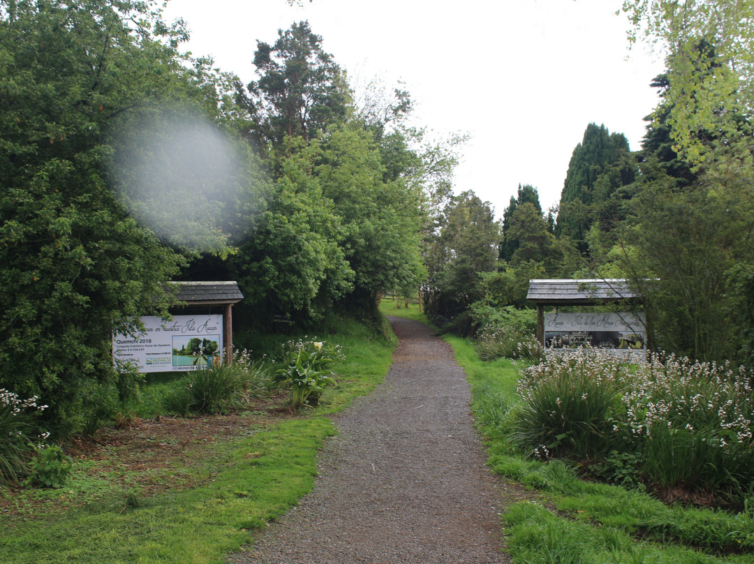 Isla Aucar-Quemchi必去景点