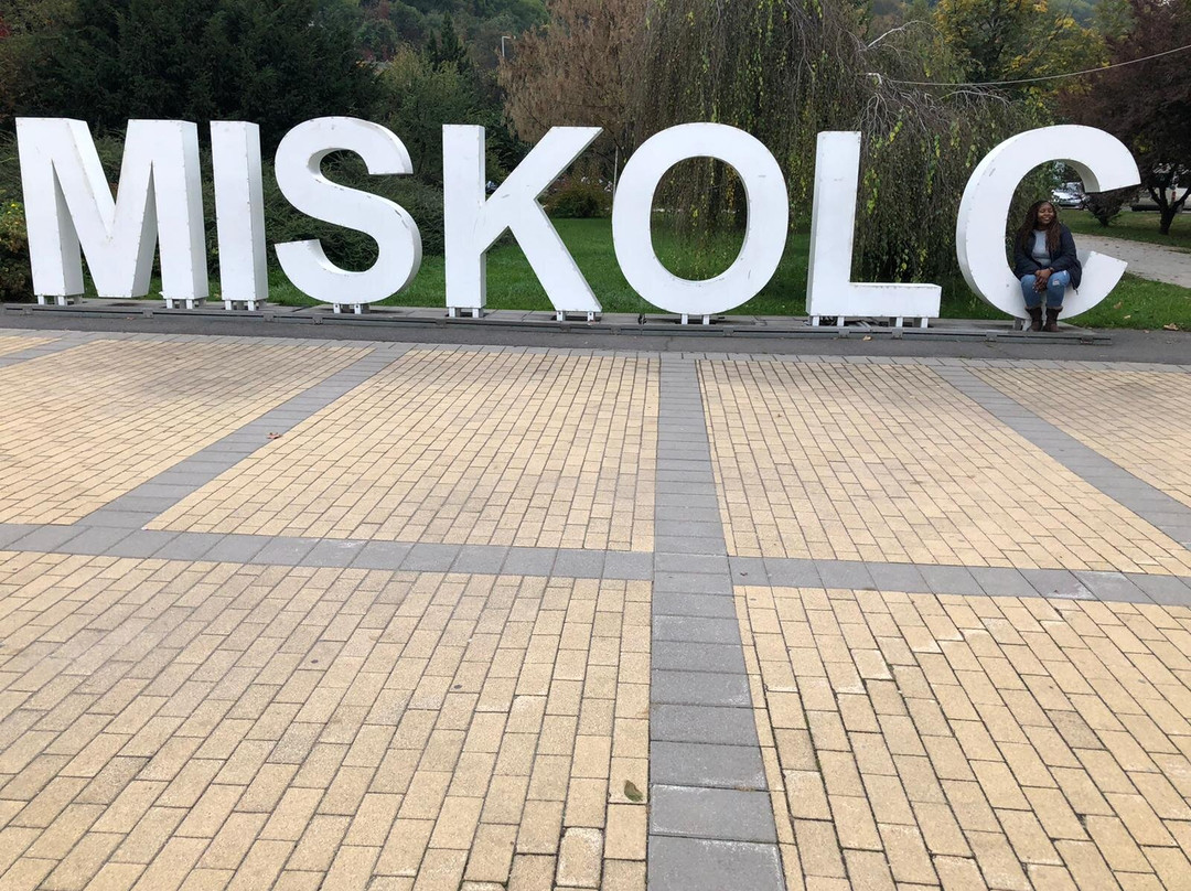 Miskolc Plaza景点图片
